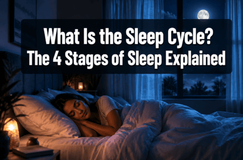 What Is the Sleep Cycle? The 4 Stages of Sleep Explained